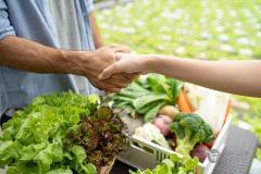Лучшие маркетплейсы для продажи сельскохозяйственных товаров